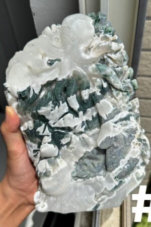 Moss Agate Sea World