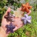 Crystal Starfish