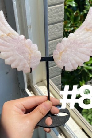 Angel Wings