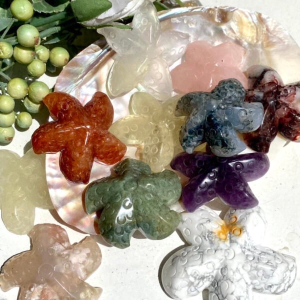 Crystal Starfish - Image 3