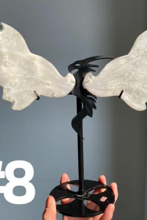 Large Dragon Wings