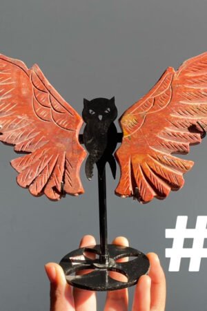 Big Owl Wings