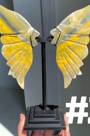 Bumble Bee Jasper Wings