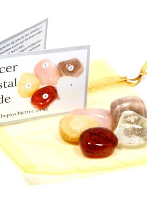 Cancer - Sign Of The Zodiac Healing Crystal Pack
