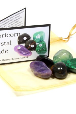 Capricorn - Sign Of The Zodiac Healing Crystal Pack